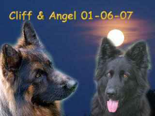 Angel & Cliff samen